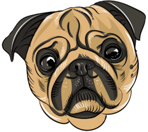 http://micropugs.online/wp-content/uploads/2024/01/cropped-pugs-png.png